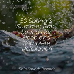50 Spring & Summer Rain Sounds for Sleep and Complete Relaxation - Ocean Sounds