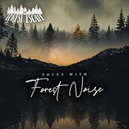 Focus With Forest Noise - The Forest Escape