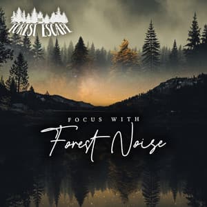 Focus With Forest Noise - The Forest Escape