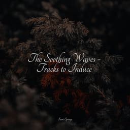 The Soothing Waves - Tracks to Induce - The Rain Library
