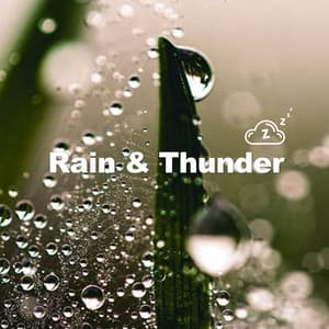 Steady Rainfall - Rain & Thunder