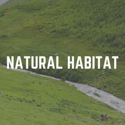 Natural Habitat - Mother Nature Recordings