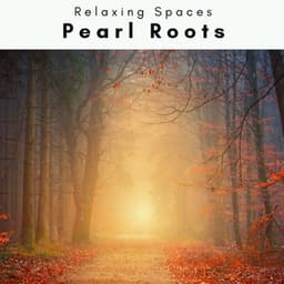 4 Rel: Pearl Roots - Relaxing Spaces