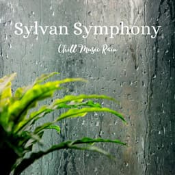 Sylvan Symphony: Chill Music Rain - Clam Pass