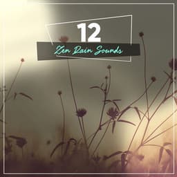 #20 Serene Rain Noises for Spa - Pro Sounds of Nature
