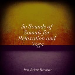 50 Sounds of Sounds for Relaxation and Yoga - Reiki Music