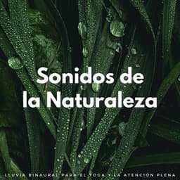 Sonidos De La Naturaleza: Lluvia Binaural Para El Yoga Y La Atención Plena - Deja que llueva