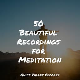 50 Beautiful Recordings for Meditation - Guided Meditation Music Zone