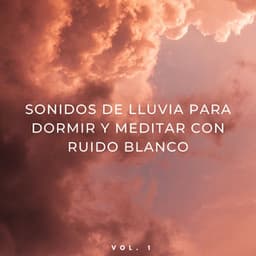 Sonidos De Lluvia Para Dormir Y Meditar Con Ruido Blanco Vol. 1 - Ruido Blanco para Dormir