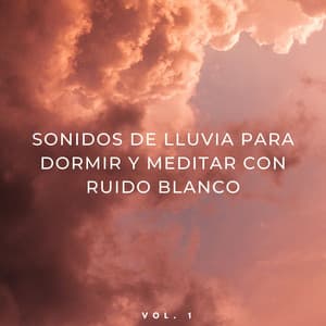 Sonidos De Lluvia Para Dormir Y Meditar Con Ruido Blanco Vol. 1 - Ruido Blanco para Dormir