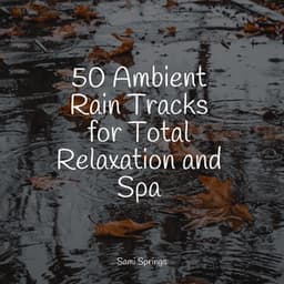 50 Ambient Rain Tracks for Total Relaxation and Spa - Restless Baby Music