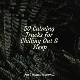 50 Calming Tracks for Chilling Out & Sleep - Mantra para Dormir