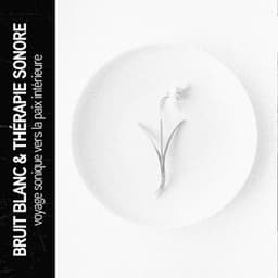 Bruit blanc et thérapie par le son : voyage sonique vers la paix intérieure - Ruido Blanco Hart