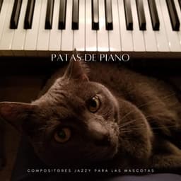 Patas De Piano: Compositores Jazzy Para Las Mascotas - Reposo para animales