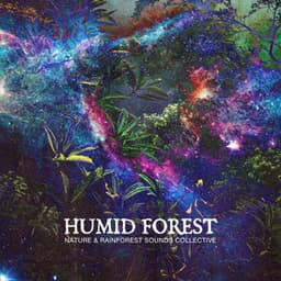 Humid Forest - Nature & Rainforest Sounds Collective