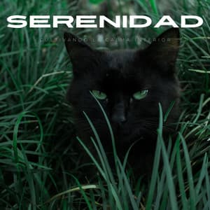 Serenidad En El Refugio De Mascotas: Cultivando La Calma Interior - Café del Pecado