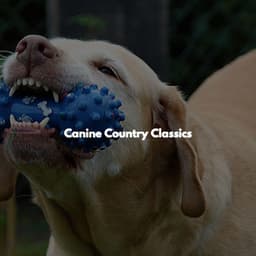Canine Country Classics - Jazz Office