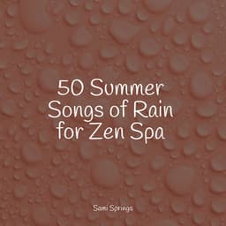 50 Summer Songs of Rain for Zen Spa - Sleep Sound of Nature