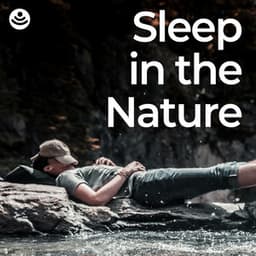 Sleep in the Nature - Weather and Nature Recordings