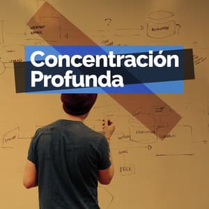 Concentración Profunda - Musica para Estudiar