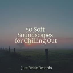 50 Soft Soundscapes for Chilling Out - Best Relaxing SPA Music