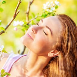 Serenade of Tranquility: Harmonious Nature Tones for Blissful Calm - Nature Power