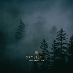 Love Frequency - Skylight+