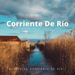 Ruidos De Corriente De Río - Corriente Meteorica