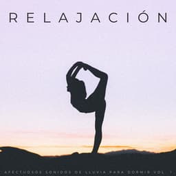 Relajación: Afectuosos Sonidos De Lluvia Para Dormir Vol. 1 - Llover fuerte