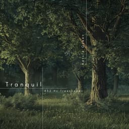 Tranquil 432 Hz Treescapes: Piano Solace - Nature Queen