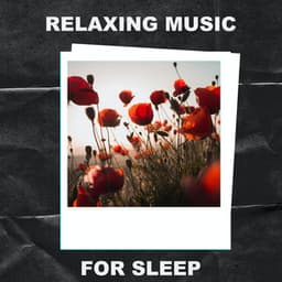 Relaxing Music for Sleep - Relaxing Music for Sleep