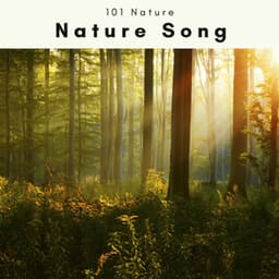 A Nature Song - 101 Nature