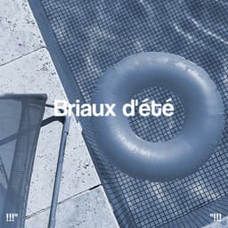 Briaux d'été - Beats De Rap