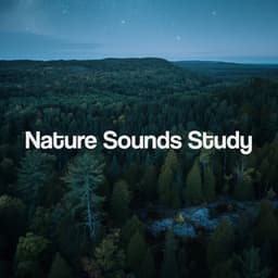 Nature Sounds Study - Deep Sleep