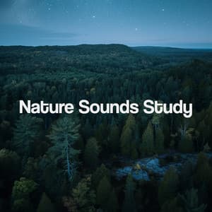 Nature Sounds Study - Deep Sleep