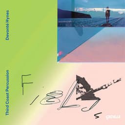 Fields - Devonté Hynes