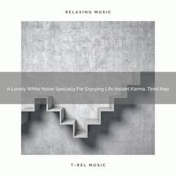 A Lovely White Noise Specially For Enjoying Life Instant Karma, Tired Nap - Fan Brown Noises