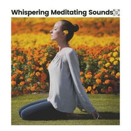 Whispering Meditating Sounds - Relaxation mentale