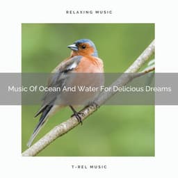 Music Of Ocean And Water For Delicious Dreams - Aquagirl