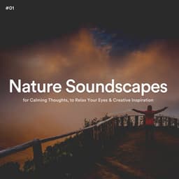 #01 Nature Soundscapes for Calming Thoughts, to Relax Your Eyes & Creative Inspiration - The Nature Soundscapes