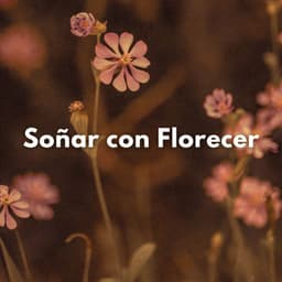 Soñar Con Florecer - La biblioteca al aire libre