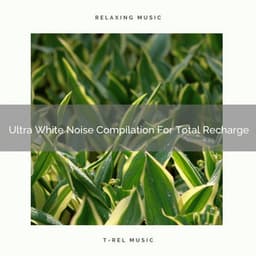 Ultra White Noise Compilation For Total Recharge - Baby Rain Sleep Sounds
