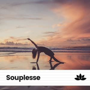 Souplesse - Chakras Yoga Spécialistes