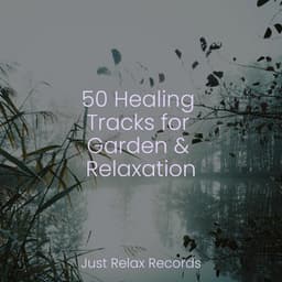 50 Healing Tracks for Garden & Relaxation - Rockabye Lullaby