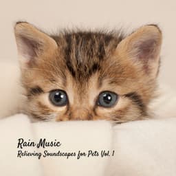 Rain Music: Relieving Soundscapes for Pets Vol. 1 - Soothing Cat Music