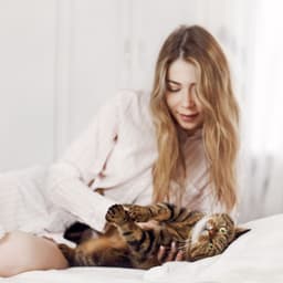 Harmonic Cat Sanctuary: Ambient Music for Serene Moments - Cat Musi