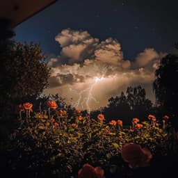 Sounds from the Weather for Unveiling Deeper Understanding and Calmness - Rain is my Life