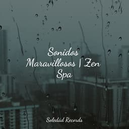 Sonidos Maravillosos | Zen Spa - Sueño Lucido