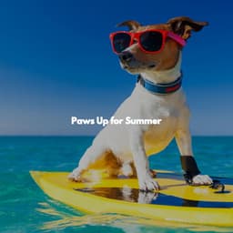 Paws Up for Summer - Relaxing Jazz Nights