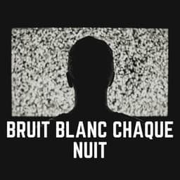 Bruit Blanc Chaque Nuit - Bruit Brun